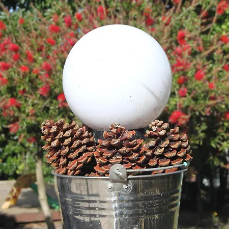 Senhora Da Paz Lisboa Tatil Evi Sintra