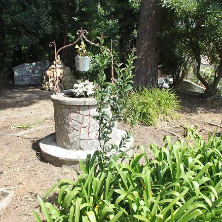 Senhora Da Paz Lisboa * Sintra