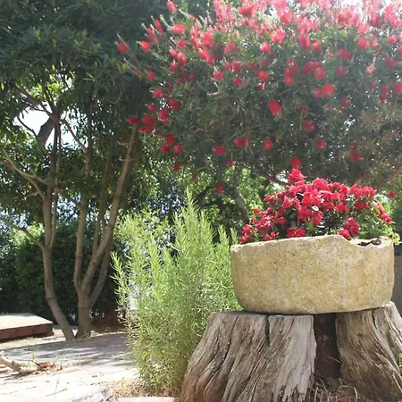 Senhora Da Paz Lisboa Tatil Evi *